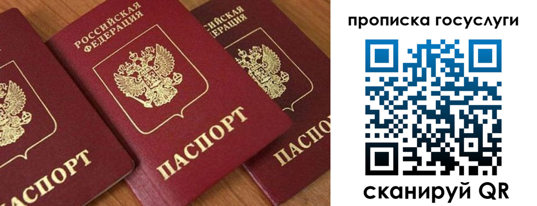 временная прописка в Клинцах